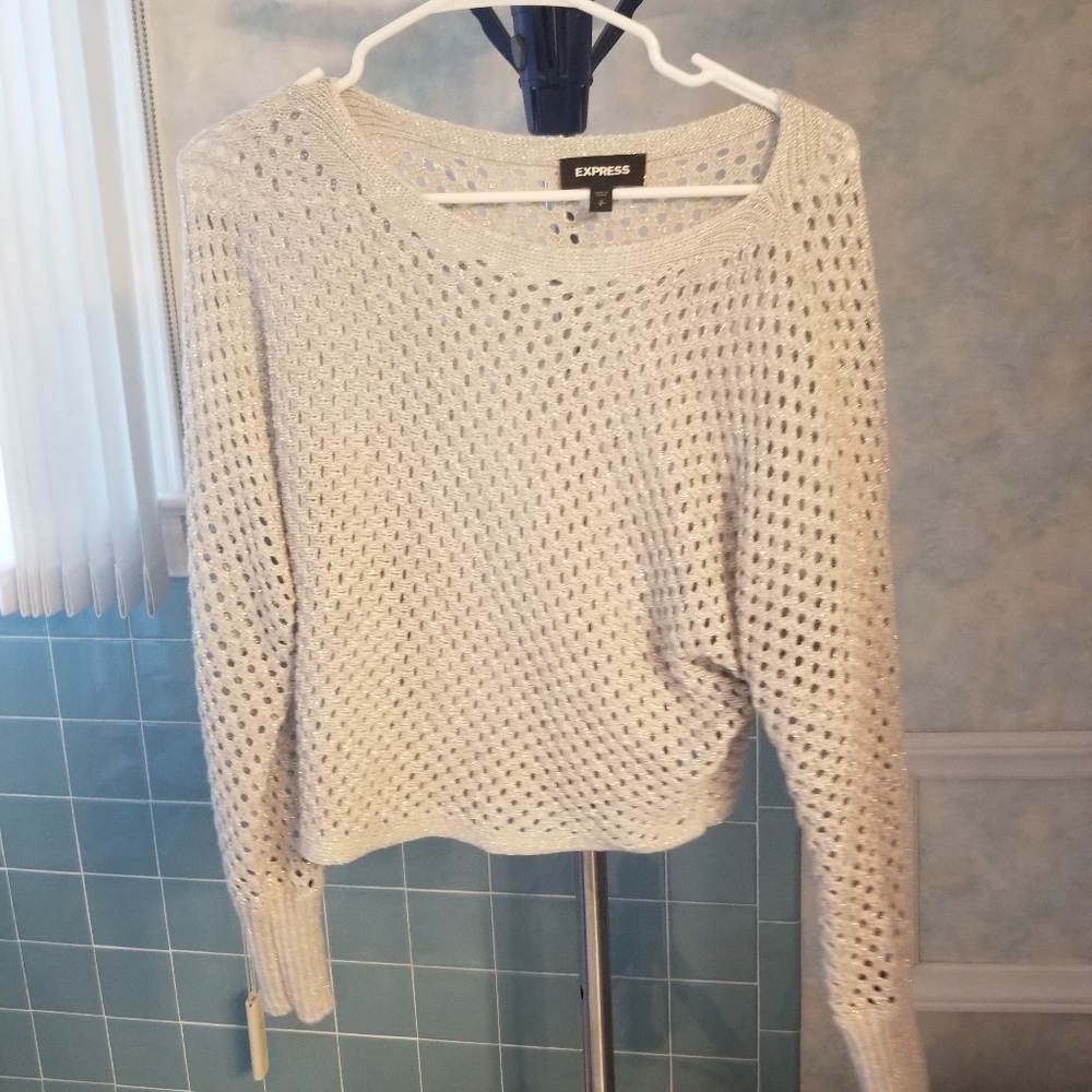 Express Small Metallic Gray Sweater